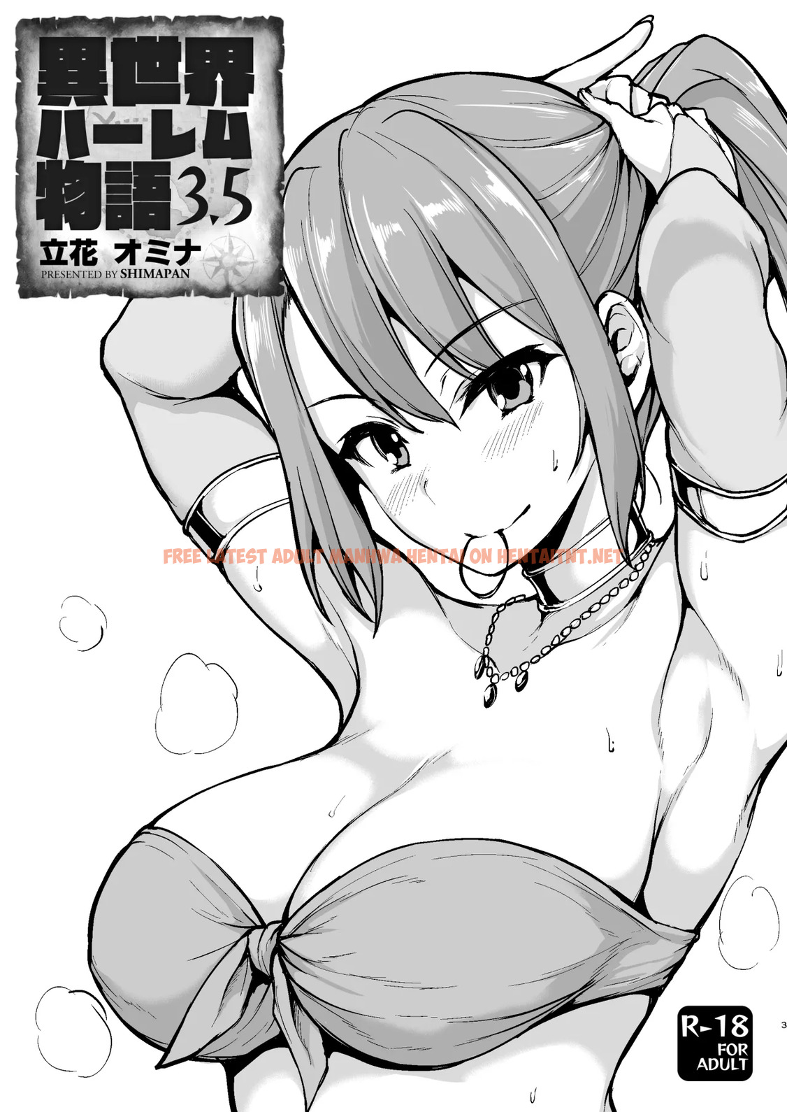 Read Hentai Image 0 in comic Isekai Harem Monogatari – Tales Of Harem 3.5 - One Shot - hentaitnt.net