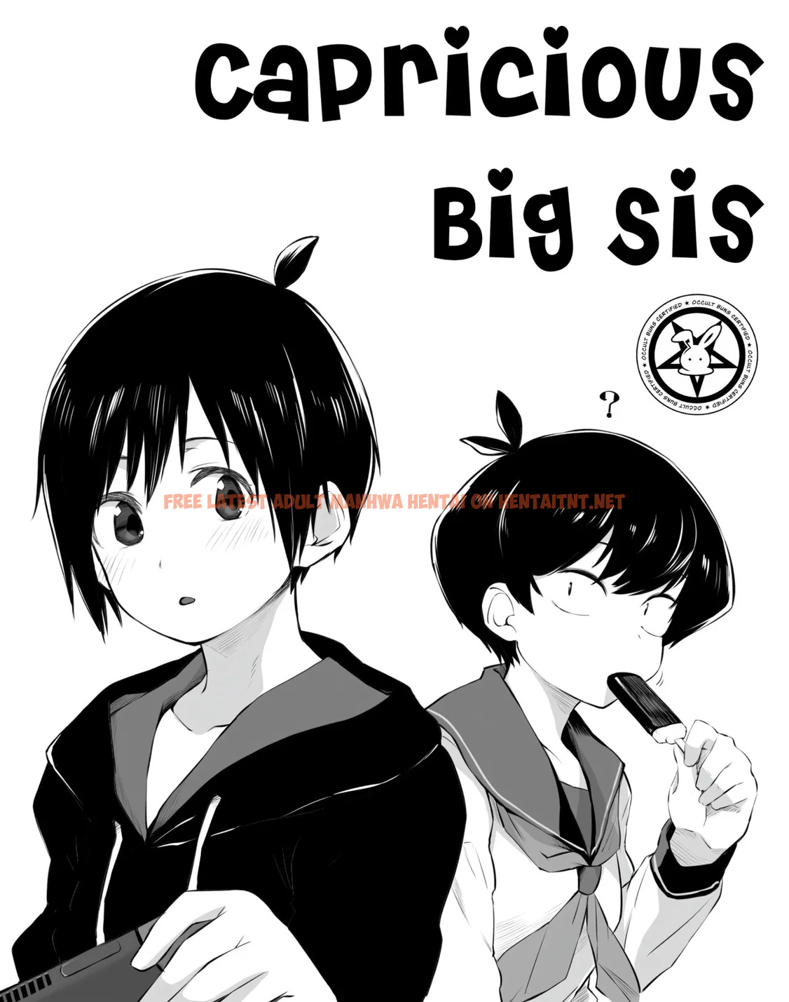 Kimagure Onee-chan – Decensored - One Shot