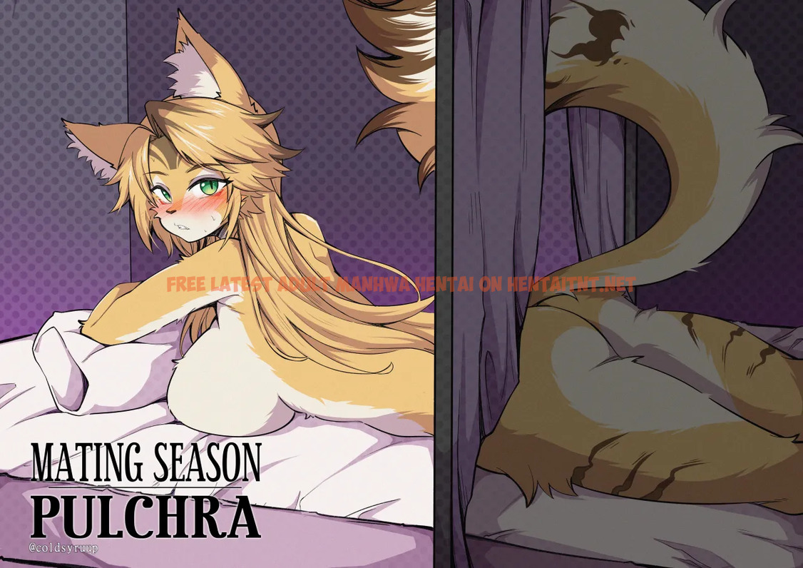 Mating Season – Pulchra + Extras - One Shot