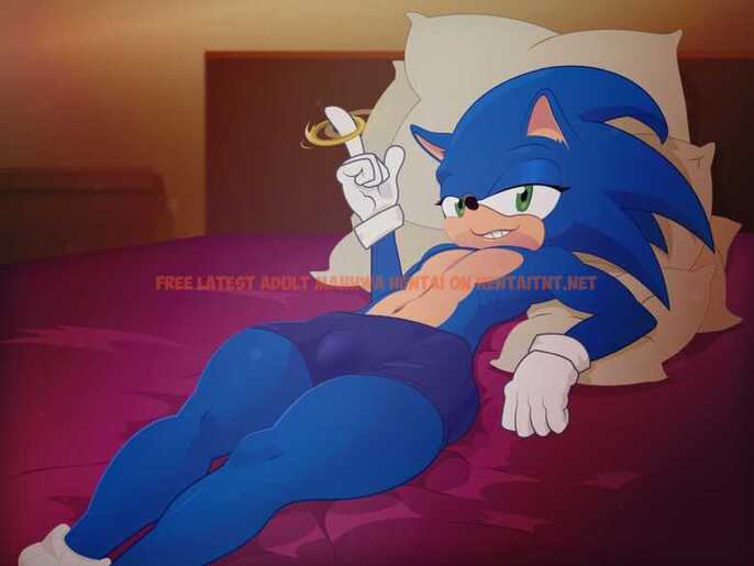 Read Hentai Image 0 in comic Naughty Sonic - One Shot - hentaitnt.net