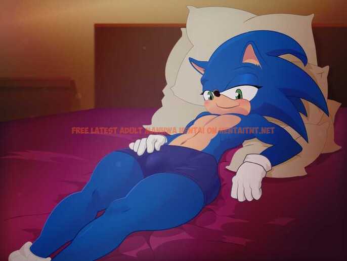 Read Hentai Image 1 in comic Naughty Sonic - One Shot - hentaitnt.net