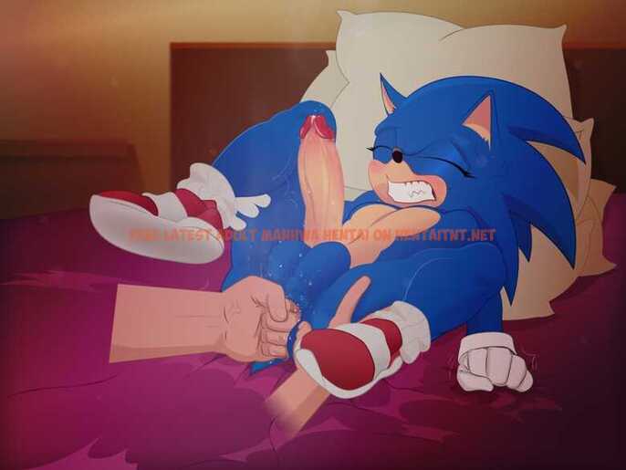 Read Hentai Image 15 in comic Naughty Sonic - One Shot - hentaitnt.net