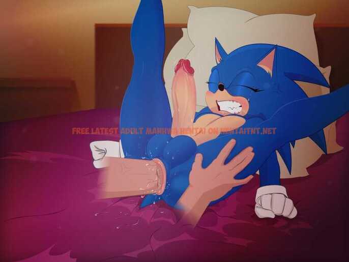 Read Hentai Image 16 in comic Naughty Sonic - One Shot - hentaitnt.net