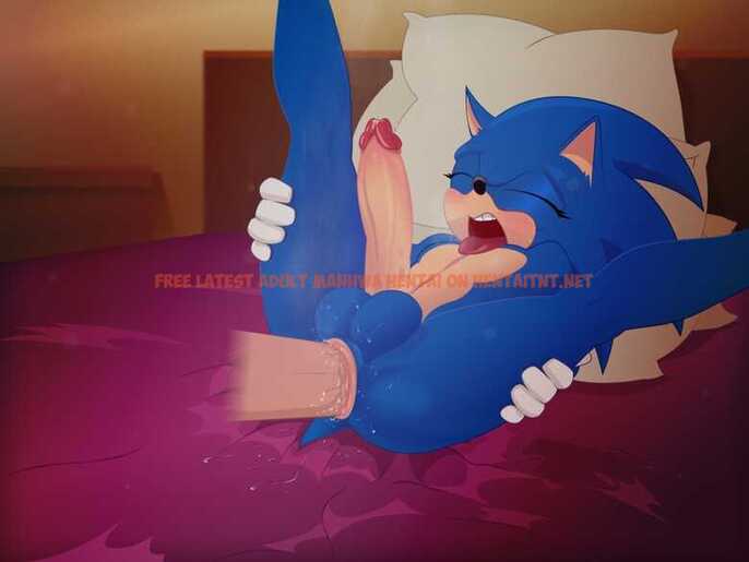 Read Hentai Image 22 in comic Naughty Sonic - One Shot - hentaitnt.net