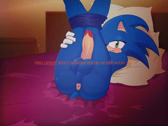 Read Hentai Image 3 in comic Naughty Sonic - One Shot - hentaitnt.net