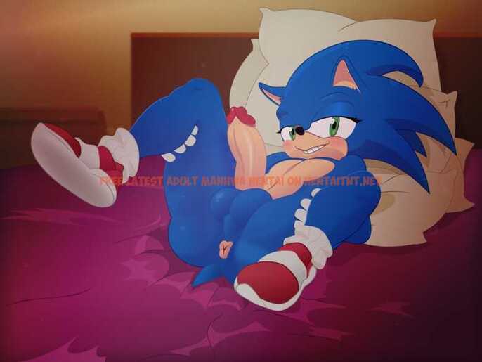 Read Hentai Image 4 in comic Naughty Sonic - One Shot - hentaitnt.net