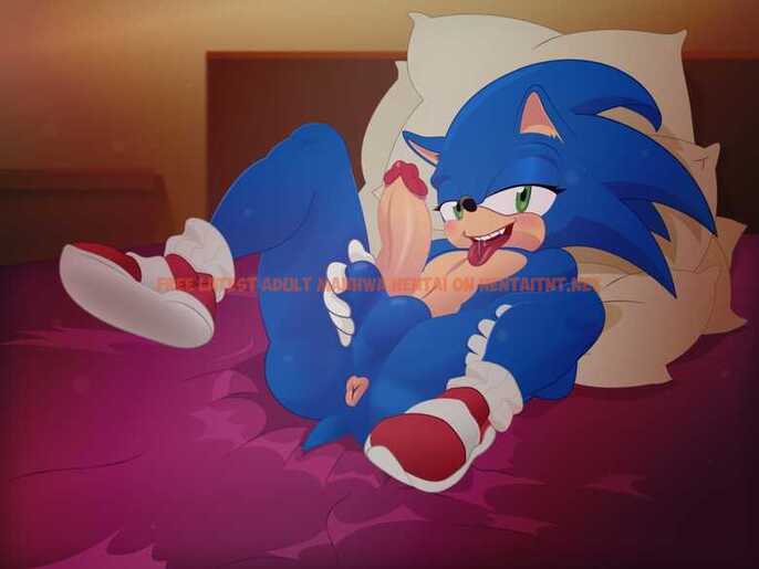 Read Hentai Image 5 in comic Naughty Sonic - One Shot - hentaitnt.net