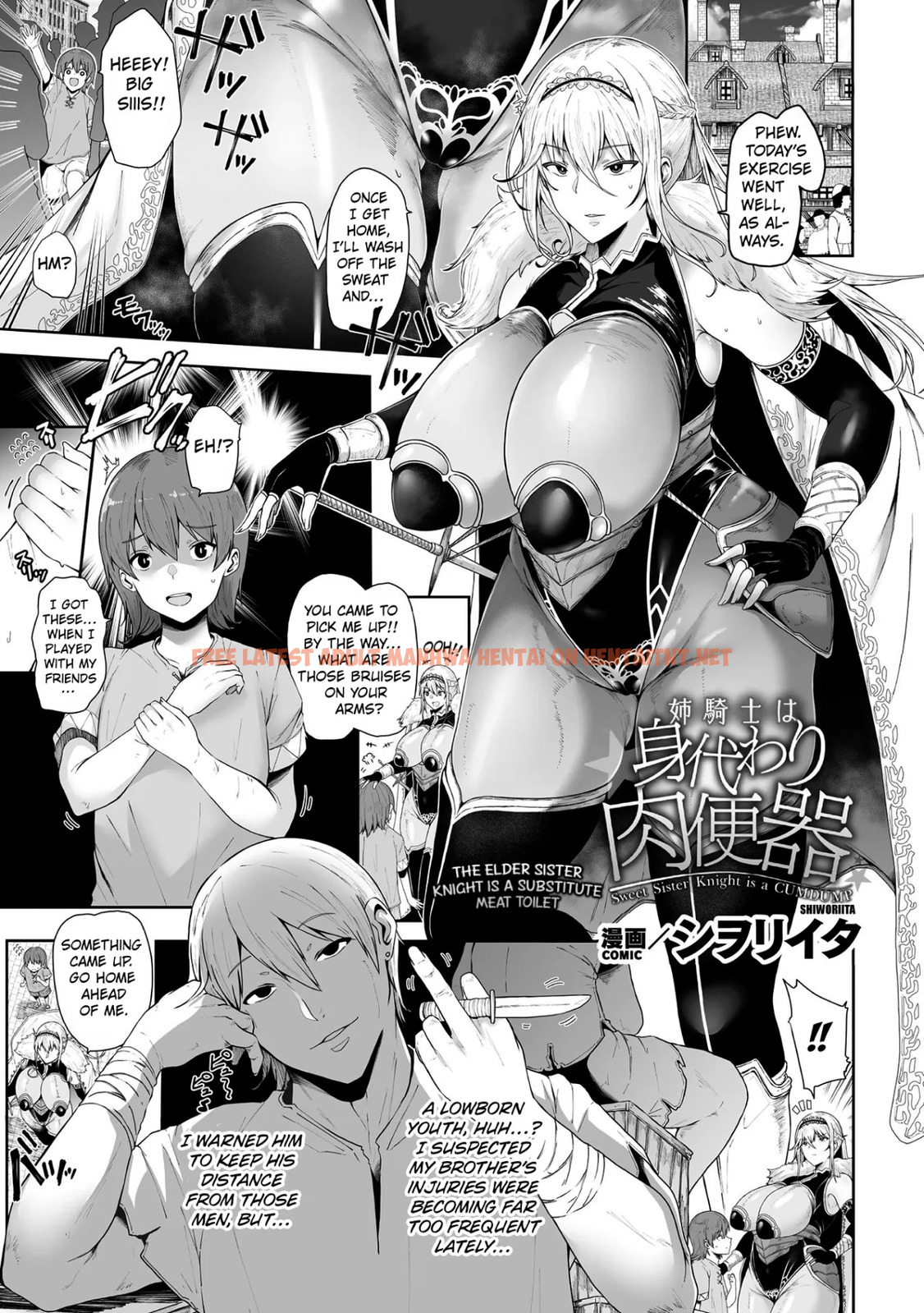 The Elder Sister Knight Is A Substitute Meat Toilet - One Shot