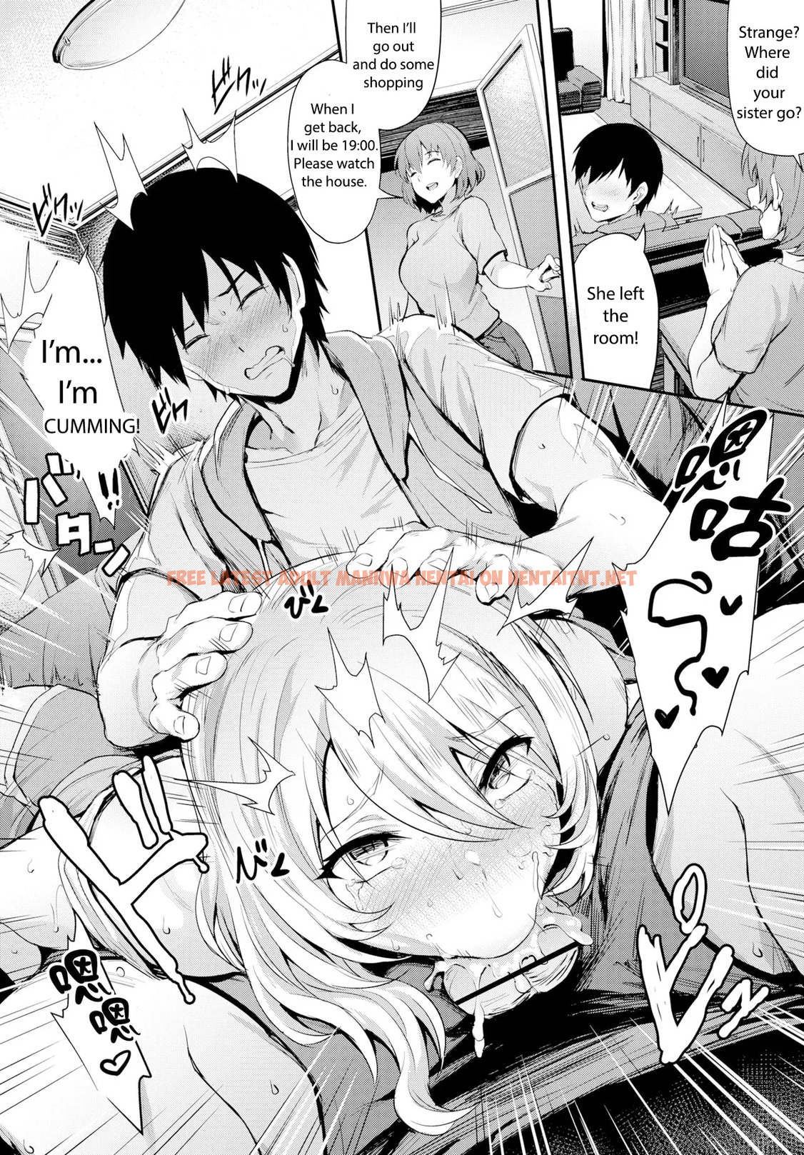 Read Hentai Image 11 in comic Trick Sister - One Shot - hentaitnt.net